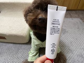 [자유펫] 시코니딘 고양이 강아지 피부 보습 연고 20g — 5점을 준 리뷰어가 2021년 11월 올린 사용 사진