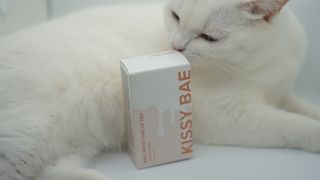 KISSY BAE 키시베이 키시베이 리얼화이트 톤업틴트 — 5점을 준 리뷰어가 2021년 7월 올린 사용 사진