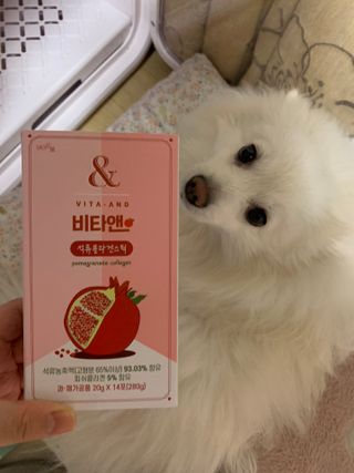 구름님이 올린 리뷰 사진 2