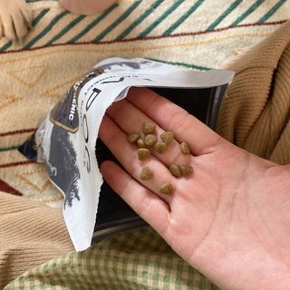 [푸디웜] 라포그 리얼인섹트 소프트키블 스킨 1KG — 5점을 준 리뷰어가 2022년 9월 올린 사용 사진