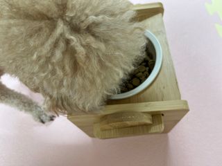 ㅇ님이 올린 리뷰 사진 3