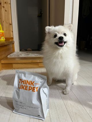 씽크라이크펫 큐브생식 1kg — 5점을 준 리뷰어가 2022년 11월 올린 사용 사진