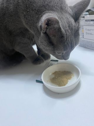 awedana님이 올린 리뷰 사진 3