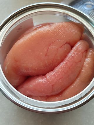 탱탱볼님이 올린 리뷰 사진 2