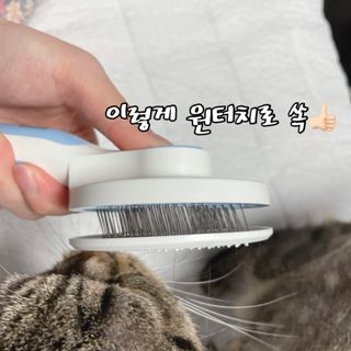 이수님이 올린 리뷰 사진 3