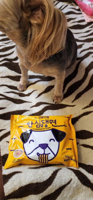 안심댕면 강아지라면 5봉지+쓰담쓰담 종합영양제 2스틱 샘플 증정 — 5점을 준 리뷰어가 2022년 9월 올린 사용 사진