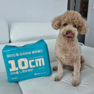 아베크 펫 와이드 프리미엄 대형 애견 강아지 배변 패드 30매 1팩 80g — 5점을 준 리뷰어가 2021년 7월 올린 사용 사진
