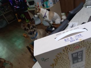 루비셀러님이 올린 리뷰 사진 2