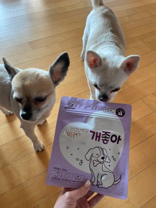 My Pet Care 천연단백질 치아건강에 개좋아 — 5점을 준 리뷰어가 2021년 2월 올린 사용 사진