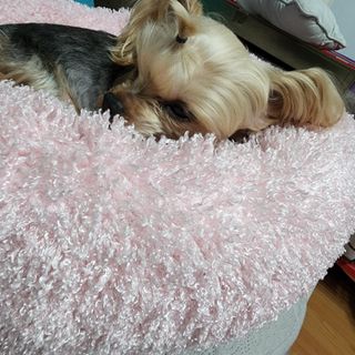 포포맘님이 올린 리뷰 사진 3