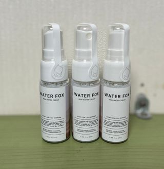 가치 WATERFOX(워터폭스)-엑토인시카.비옴 하이 워터크림 20ML — 4.5점을 준 리뷰어가 2023년 2월 올린 사용 사진