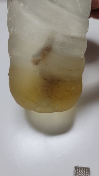 산그리메 국내산 호박차 100티백 대용량 삼각티백차 — 5점을 준 리뷰어가 2021년 6월 올린 사용 사진