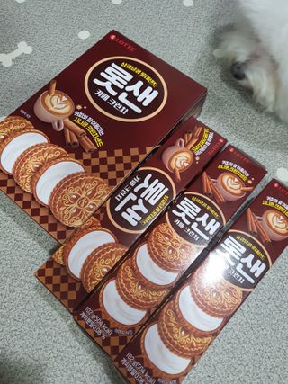 롯데제과 롯샌 카페크런치 — 5점을 준 리뷰어가 2021년 10월 올린 사용 사진