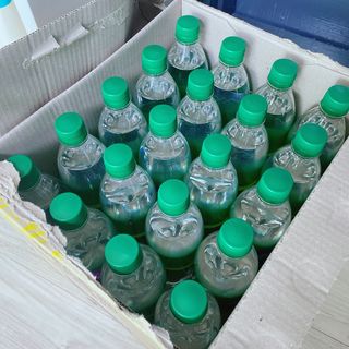 몽베스트 Montbest with Sparkling water Lemon OR Lime 20병(랜덤) — 5점을 준 리뷰어가 2021년 10월 올린 사용 사진
