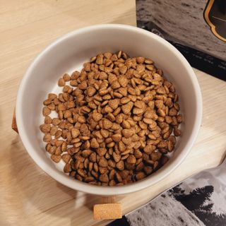 [푸디웜] 라포그 리얼인섹트 소프트키블 스킨 1KG — 5점을 준 리뷰어가 2022년 9월 올린 사용 사진