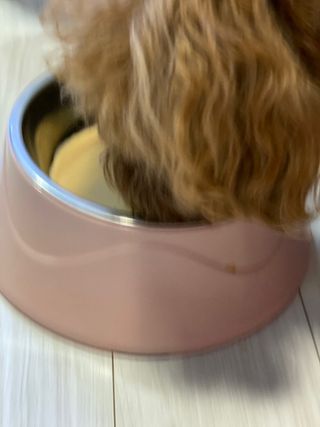 칸쵸님이 올린 리뷰 사진 3
