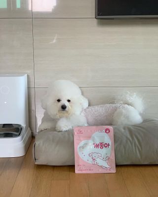 윤긍정님이 올린 리뷰 사진 1