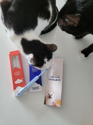 오둥이맘님이 올린 리뷰 사진 3
