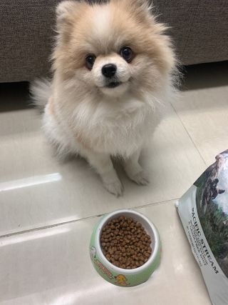 밍크마마님이 올린 리뷰 사진 2