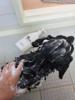 예민한 피부를 위한 코코몰리 All in one 자연유래 샴푸 — 5점을 준 리뷰어가 2021년 3월 올린 사용 사진