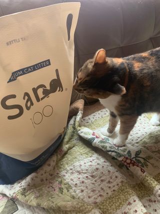호롤로님이 올린 리뷰 사진 1