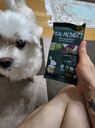 [푸디웜] 라포그  리얼인섹트 웨이트밸런스 저알러지 강아지 사료  1.2KG — 4점을 준 리뷰어가 2022년 7월 올린 사용 사진