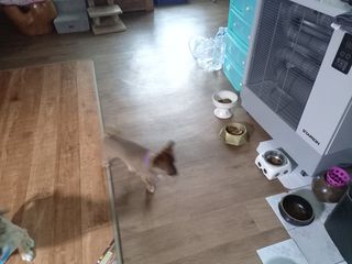 루비셀러님이 올린 리뷰 사진 3