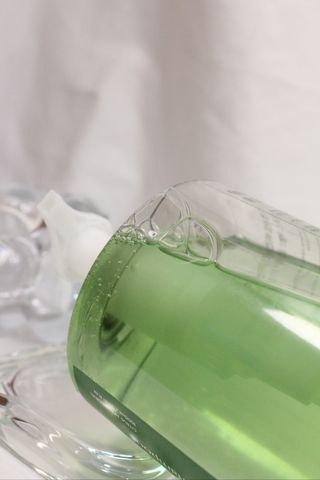 닥터시드 티트리 앤 라임 비건 지성케어 쿨 탈모 샴푸 (1000ml) — 5점을 준 리뷰어가 2024년 4월 올린 사용 사진