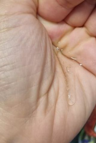 조향사 바디로션 + 바디워시 화이트포레스트 — 4.5점을 준 리뷰어가 2022년 5월 올린 사용 사진