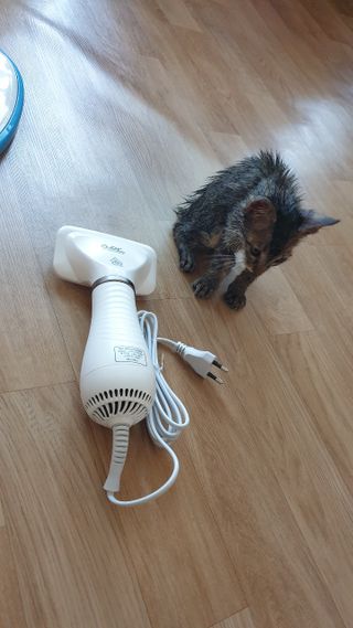 쭈니님이 올린 리뷰 사진 3