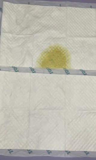 아베크 펫 와이드 프리미엄 중형 애견 강아지 배변 패드 54매 1팩 45g — 5점을 준 리뷰어가 2021년 7월 올린 사용 사진