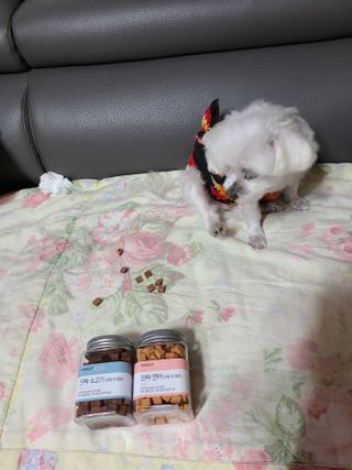 페페로니 진짜 오메가3 연어+소고기 180g+180g — 5점을 준 리뷰어가 2021년 7월 올린 사용 사진