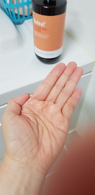 달리프 진저 베러 퍼퓸 탈모 완화 샴푸 1000ml 향 3종 — 5점을 준 리뷰어가 2021년 3월 올린 사용 사진