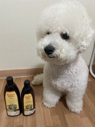 예봉봉봉님이 올린 리뷰 사진 1