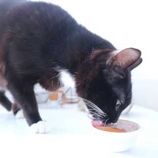 모리님이 올린 리뷰 사진 1