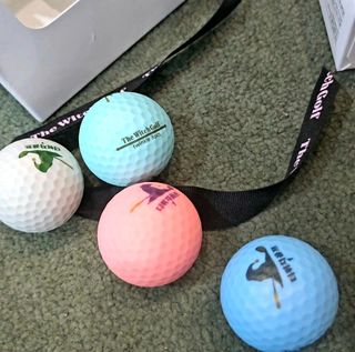 더위치골프(thewitchgolf) 프리미엄 골프 공 더위치골프 매트 펄 컬러의 3피스볼 더위치골프 골프볼 선물세트 — 5점을 준 리뷰어가 2023년 9월 올린 사용 사진