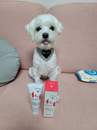 시우하늘맘님이 올린 리뷰 사진 1