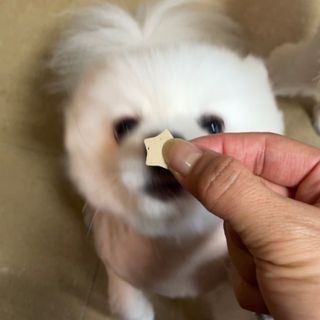 어거스트비님이 올린 리뷰 사진 3