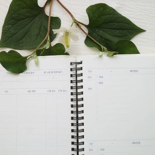 푸르매님이 올린 리뷰 사진 3