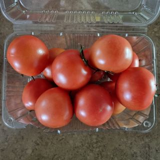 레드닥터 완숙토마토 + 통째로 동결건조한 대추방울토마토 — 5점을 준 리뷰어가 2022년 12월 올린 사용 사진
