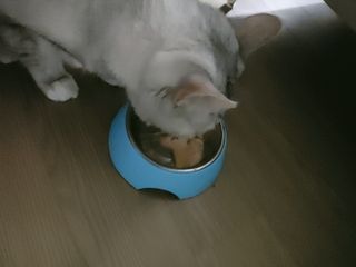 조아해1128님이 올린 리뷰 사진 4