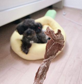 baam님이 올린 리뷰 사진 4