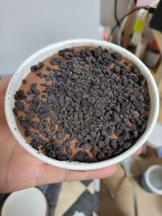 롯데제과 본젤라또 비스킷&바닐라카라멜바, 본젤라또 베리쇼콜라컵 — 5점을 준 리뷰어가 2021년 11월 올린 사용 사진