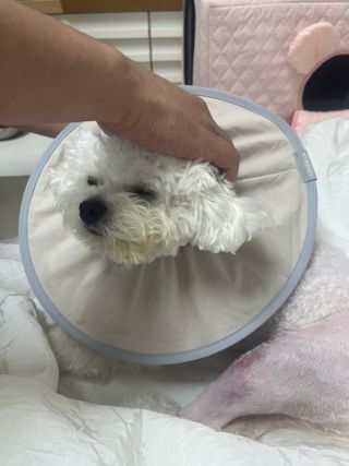 린짱님이 올린 리뷰 사진 4