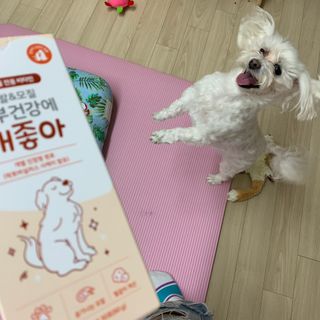 챔미님이 올린 리뷰 사진 1