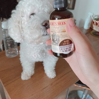 루이맘님이 올린 리뷰 사진 4