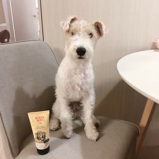 솜솜이2님이 올린 리뷰 사진 3