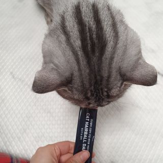 에디터보나님이 올린 리뷰 사진 3