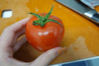 레드닥터 완숙토마토 + 통째로 동결건조한 대추방울토마토 — 5점을 준 리뷰어가 2022년 11월 올린 사용 사진