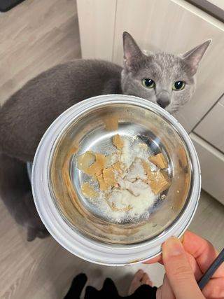 여온님이 올린 리뷰 사진 1